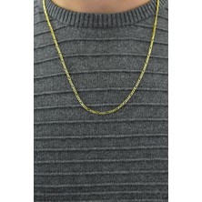 Papatya Silver 925 Ayar Altın Kaplama Erkek Figaro Gümüş Zincir Kolye