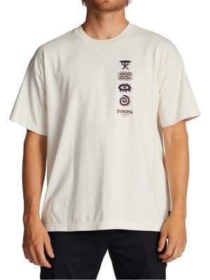 Billabong Collision Ss Ww Erkek Beyaz T-Shirt ABYZT01714-OFW