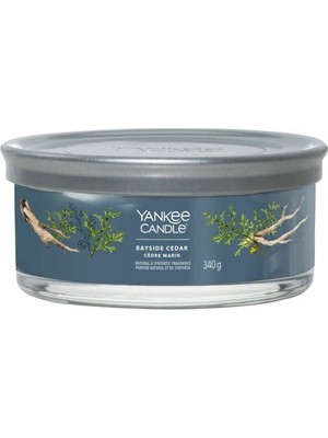 Yankee Candle 1630082E Çoklu Fitil Mum Bayside Cedar