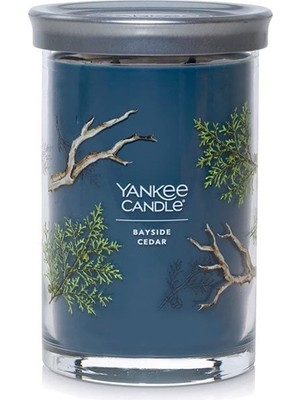 Yankee Candle 1630048E Bardak Mum Bayside Cedar