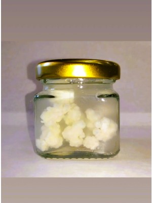 İpek Gurme Kefir Baslangıç Kiti Kefir Mayası