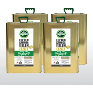Efe Natural Olive 18 litre x 4 Adet Teneke