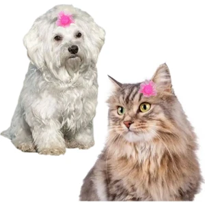 Kedi Köpek Saç Tokası Pensli 2'li Set