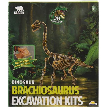 Crazoo 3D Fosil Kazı Seti: Dinozor Brachiosaurus Fiyatı
