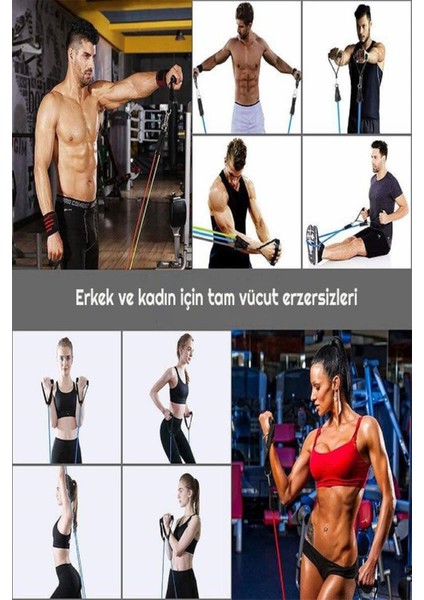 5 Li Profesyonel Direnç Lastiği Seti Plates Spor Fitness Kondisyon Hafif Pratik Direnç Lastik Seti