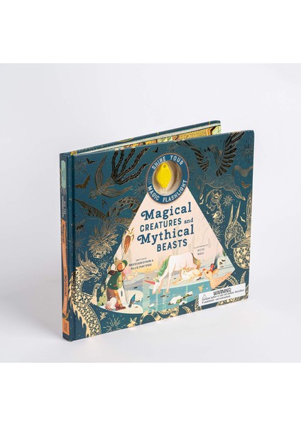 Magic Cat - Magical Creatures And Mythical Beasts