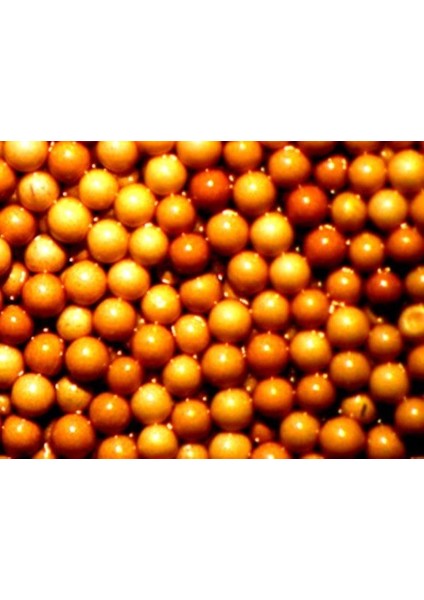 Inve Artemia Sep-Art 500 gr Küçük Boy Mıknatısla fiyatları