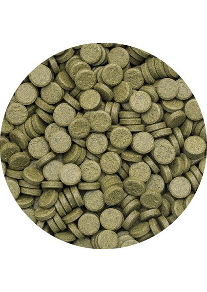 Spirulina Super Forte Tablet Kovadan Bölme 100 gr