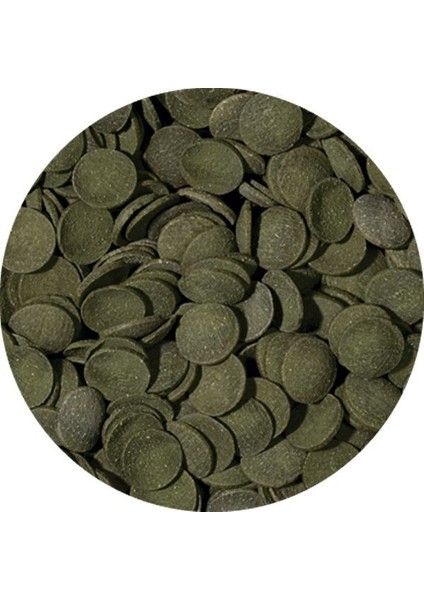 Green Algea Wafers Kovadan Bölme 100 gr