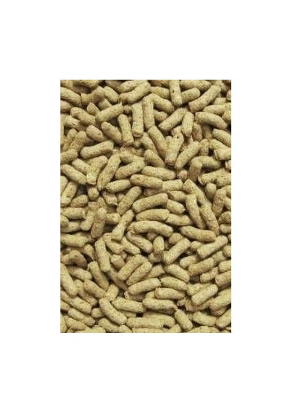 Cichlid Sticks Kovadan Bölme 1000 gr fiyatları