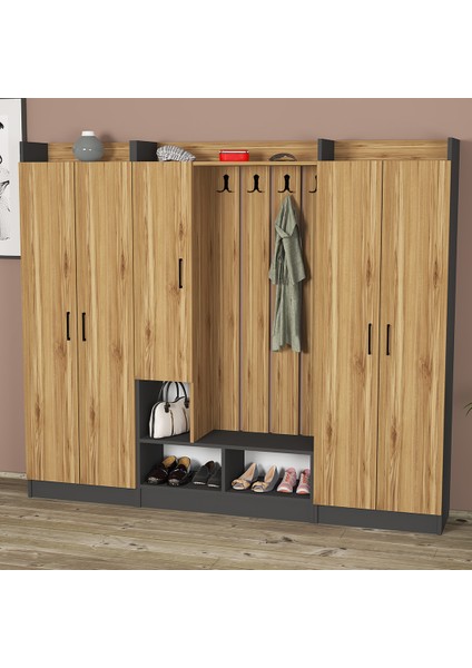 Lityum-1-3-3 Portmanto Vestiyer Ayakkabılık RS06