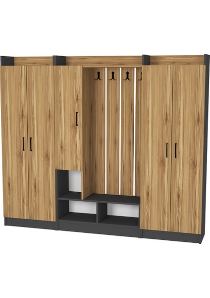 Lityum-1-3-3 Portmanto Vestiyer Ayakkabılık RS06 modelleri