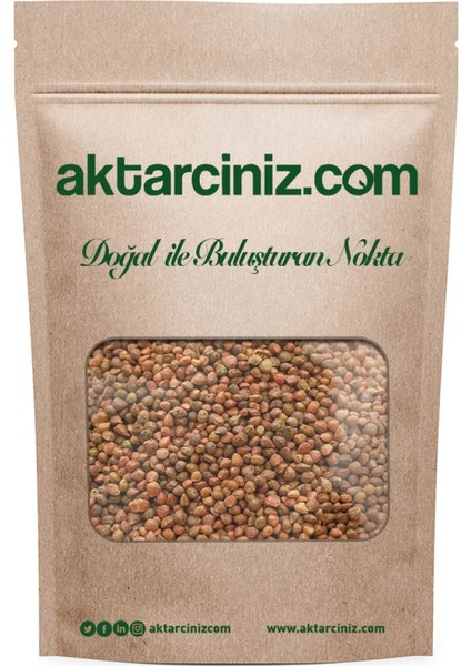Ispanak Tohumu 500 gr