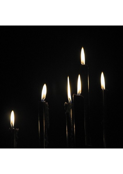 Siyah Arınma Mumu Church Black Candles 12 Adet Siyah Uzun Mum Siyah Ince Mum Siyah Mum Kilise Mumu