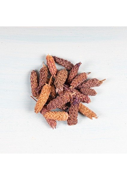 Karabaş Otu / 50 Gr.