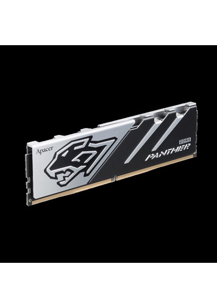 Panther 16GB (1x16GB) 6000MHz CL40 DDR5 Gaming Ram (AH5U16G60C5127BAA-1)