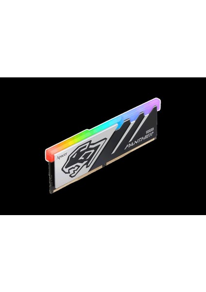 Panther Rgb 32GB (2X16GB) 6000MHZ CL40 Ddr5 Gaming Ram (AH5U32G60C5129BAA-2)