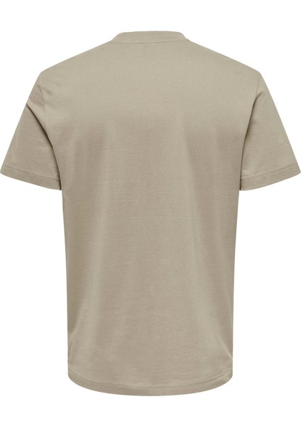 Anton Reg Ss Tee Erkek Haki Tshirt 22026086-03