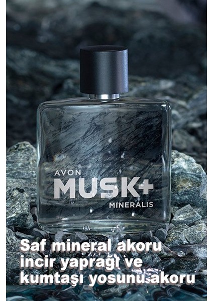 Musk+ Freeze ve Mineralis Erkek Parfüm Paketi