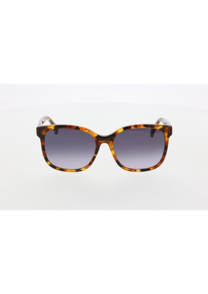 Maxmara MM0025 53B Kadın Güneş Gözlüğü