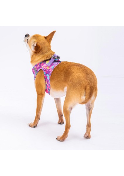 Air-Mesh Rosea Camouflage Köpek Göğüs Tasması