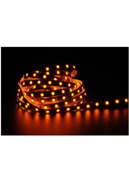 4040 Amber Şerit LED Iç Mekan - 5 Metre