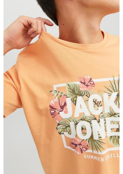 12224688-23Y Jjbecs Shape Tee Ss Crew Neck Erkek T-Shirt modelleri