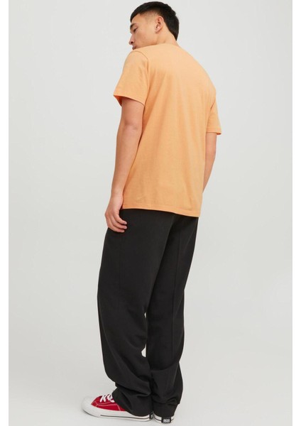 12224688-23Y Jjbecs Shape Tee Ss Crew Neck Erkek T-Shirt fırsatları