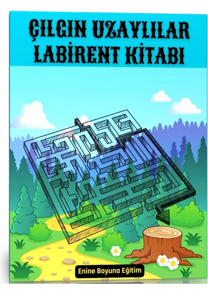 Çılgın Uzaylılar Labirent Kitabı