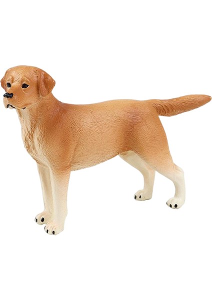 Doğum Günü Hediye Partisi Oyuncak Kek Topper Çocuk Labrador Sarı Için Gerçekçi Köpek Heykel Heykeli (Yurt Dışından) fiyatları