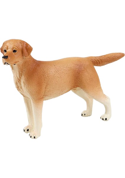 Doğum Günü Hediye Partisi Oyuncak Kek Topper Çocuk Labrador Sarı Için Gerçekçi Köpek Heykel Heykeli (Yurt Dışından) fırsatları