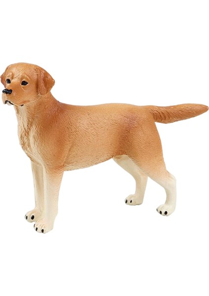 Doğum Günü Hediye Partisi Oyuncak Kek Topper Çocuk Labrador Sarı Için Gerçekçi Köpek Heykel Heykeli (Yurt Dışından) indirimleri
