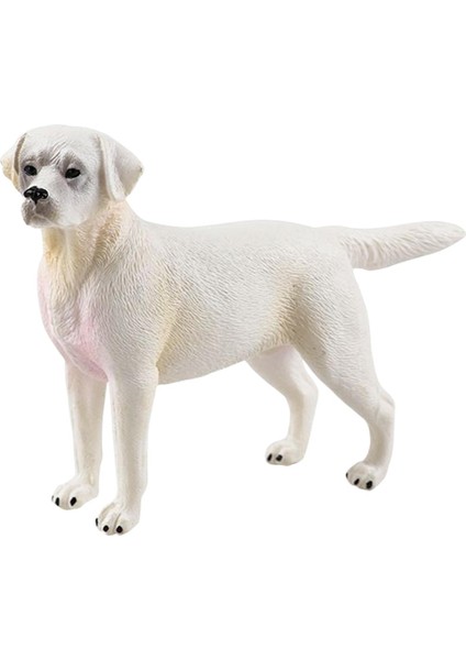 Doğum Günü Hediye Partisi Oyuncak Kek Topper Çocuk Labrador Beyaz Için Gerçekçi Köpek Heykel Heykeli (Yurt Dışından)