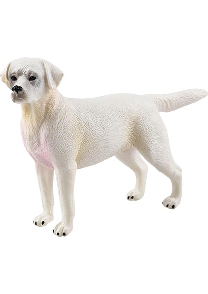 Doğum Günü Hediye Partisi Oyuncak Kek Topper Çocuk Labrador Beyaz Için Gerçekçi Köpek Heykel Heykeli (Yurt Dışından) fırsatları