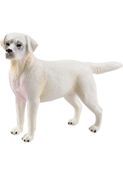 Doğum Günü Hediye Partisi Oyuncak Kek Topper Çocuk Labrador Beyaz Için Gerçekçi Köpek Heykel Heykeli (Yurt Dışından) indirimleri