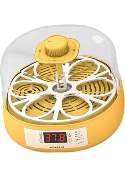 Yumurta Inkübatör Yumurta Hatcher Makinesi Sıcaklık Kontrolü Tavuk Kaz Yarı Otomatik 4 Yumurta (Yurt Dışından) modelleri