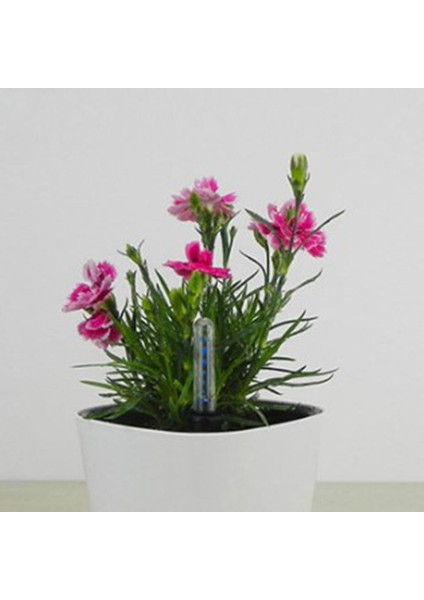 2x Su Seviyesi Göstergesi Saksılı Bitkiler Nem Kıtlığı Gösterge Bitkileri 8.85 "2stk 22,5 cm Beyaz (Yurt Dışından) fırsatları