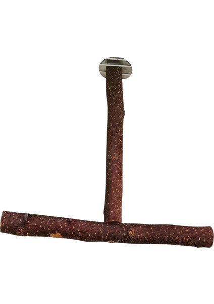 Finch Küçük Kuş Için Pet Papaz Papaz Kuş Standı Kafes Aksesuarları Platformu 25CMX25CMX2.5CM (Yurt Dışından)
