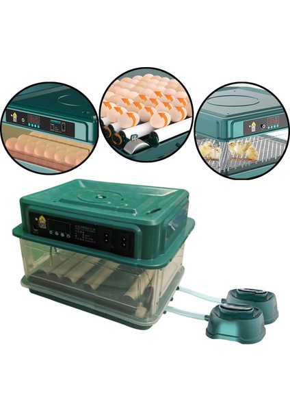 Çift Güç Kaynağı Tasarımı Su Yeniden Yumurtlama 9 Yumurta (Yurt Dışından) fiyatları