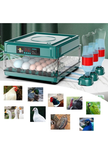 Çift Güç Kaynağı Tasarımı Su Yeniden Yumurtlama 9 Yumurta (Yurt Dışından) fırsatları