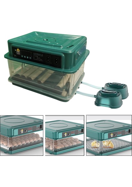 Çift Güç Kaynağı Tasarımı Su Yeniden Yumurtlama 9 Yumurta (Yurt Dışından) indirimleri