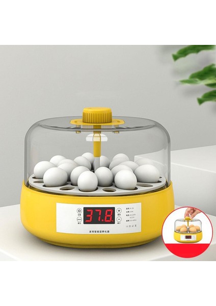 Tavuk Kaz Kuşları Squail Malzemeleri Inkübatör Yarı Otomatik (Yurt Dışından) fiyatları