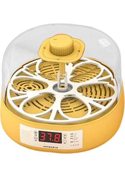 Tavuk Kaz Kuşları Squail Malzemeleri Inkübatör Yarı Otomatik (Yurt Dışından) indirimleri