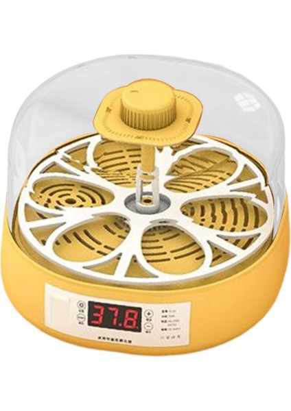 Yumurta Inkübatör Tavuk Hatcher Otomatik 6 Yumurta (Yurt Dışından) fiyatları