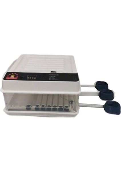 Otomatik Yumurta Inkübatör Tavuk Bıldırcın Hatcher 64EGGS (Yurt Dışından)