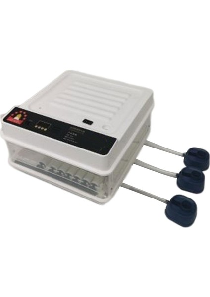 Otomatik Yumurta Inkübatör Tavuk Bıldırcın Hatcher 64EGGS (Yurt Dışından) fırsatları