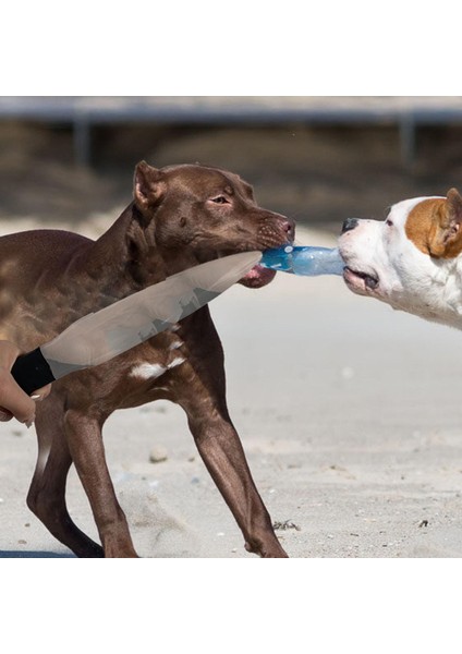 Köpek Dog Dövüşme Evcil Hayvan Eğitimi Için Çubuk Hafif Olmak (Yurt Dışından) fırsatları