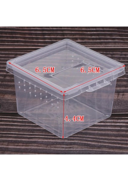 10X Clear Sürüngen Örümcek Yetiştirme Besleme Kutusu Temiz Konteyner 10X Küçük (Yurt Dışından)