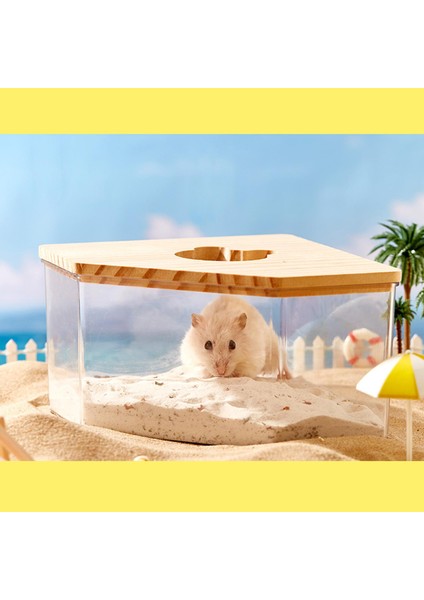 Hamster Banyo Kutusu Akrilik Hamster Kum Banyosu Fareler Veya Diğer Pentagramlar Için Ahşap Kapaklı (Yurt Dışından)