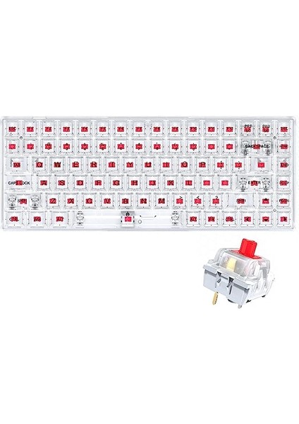 Leaven K840 Hot Swap  Type-C Kablolu Klavye LED Rgb 84 Tuşlu Şeffaf Tuş Takımı Gökkuşağı Renkler Mekanik Gaming  Kırmızı Switch